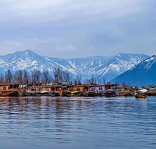 Splendid Kashmir